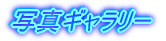 ʐ^M[
