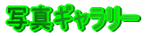 ʐ^M[